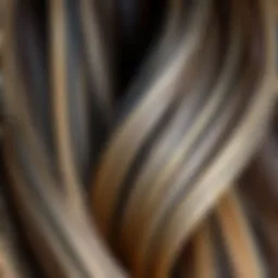 Close-up view of balayage technique applied on hair tips showcasing the transition of colors.