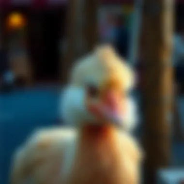 Notable Bebek Saçı İçin Badem Yağı Kullananlar: Etkileri ve Gözlemler Notable Bebek Saçı İçin Badem Yağı Kullananlar: Etkileri ve Gözlemler