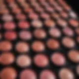 A stunning array of blush shades showcasing diversity.