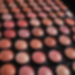 A stunning array of blush shades showcasing diversity.