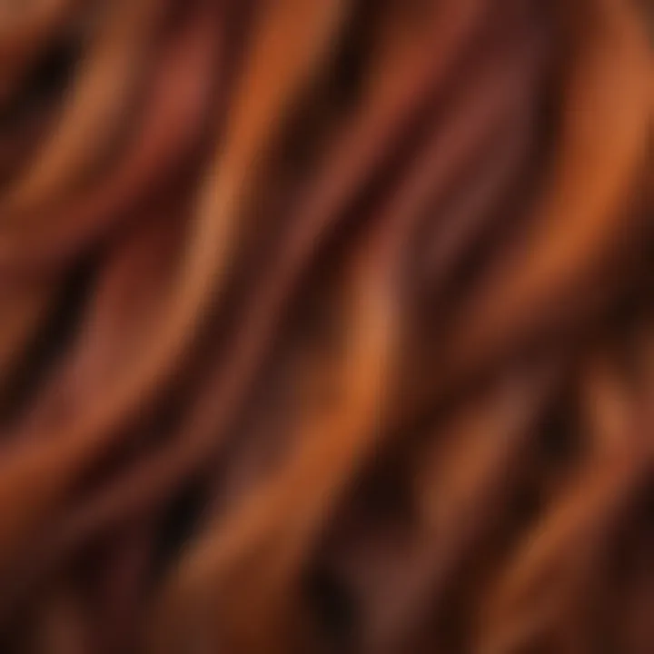 Close-up of hair strands showing the richness of Biomagic colors.