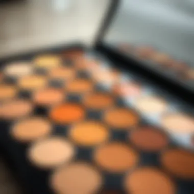 A color palette representing different skin tones for selecting the right concealer