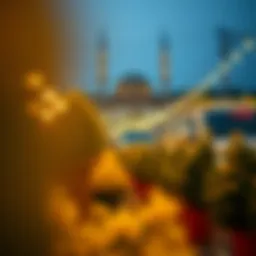 Jiletle Kılları Alma: Doğru Yaklaşımlar ve Dikkat Edilmesi Gerekenler Introduction