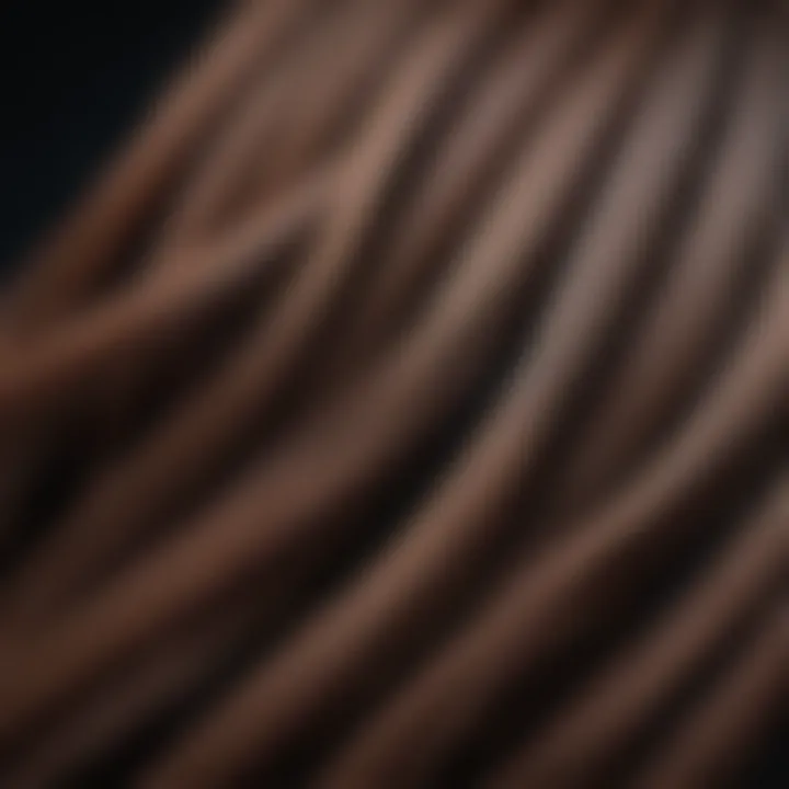 Close-up of hair strands showing color transition