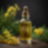 A bottle of St. John's Wort oil with fresh herbs in the background