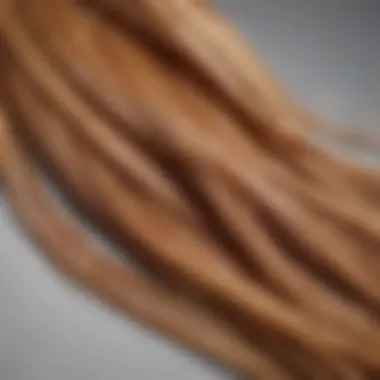 A close-up of caramel hair strands showcasing shine and depth.