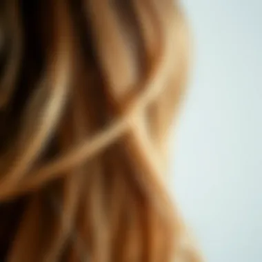 Natural Hair Highlights Close-up of healthy hair with natural highlights