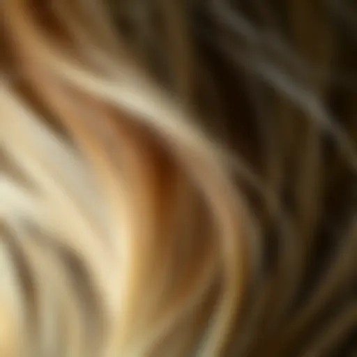 Close-up of healthy hair strands showing texture