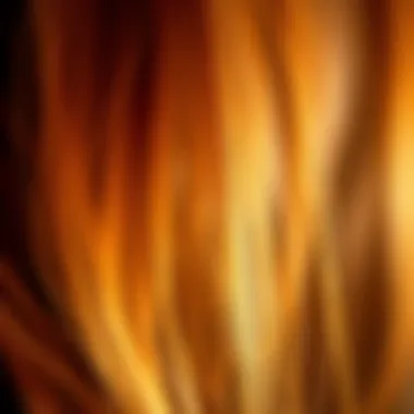 A close-up of hair strands highlighting the brilliance of warm tones.